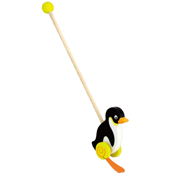 Push Toy